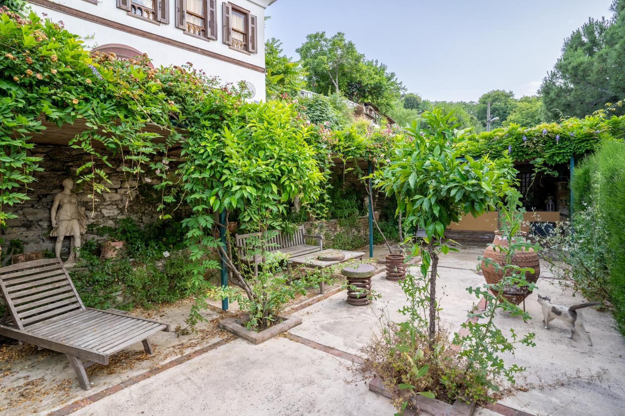 Nikbin Yamac Pansiyon Selcuk Exteriér fotografie